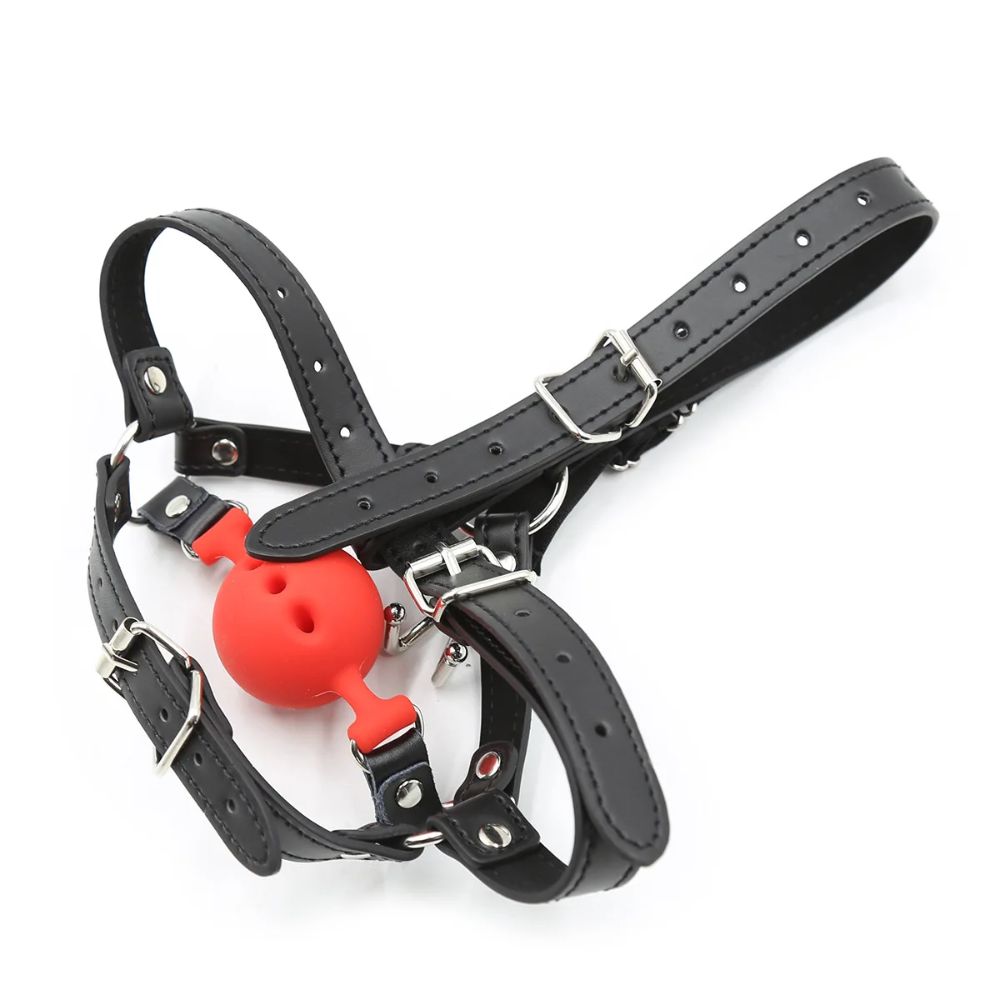 Bondage-Harness-with-Gag-and-Hook-3