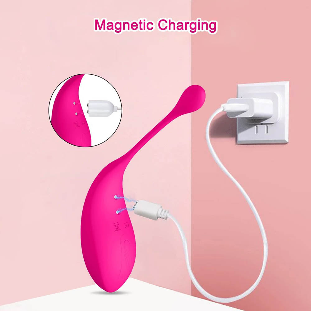 LoveEggClitorisStimulatorVibratormagneticcharging